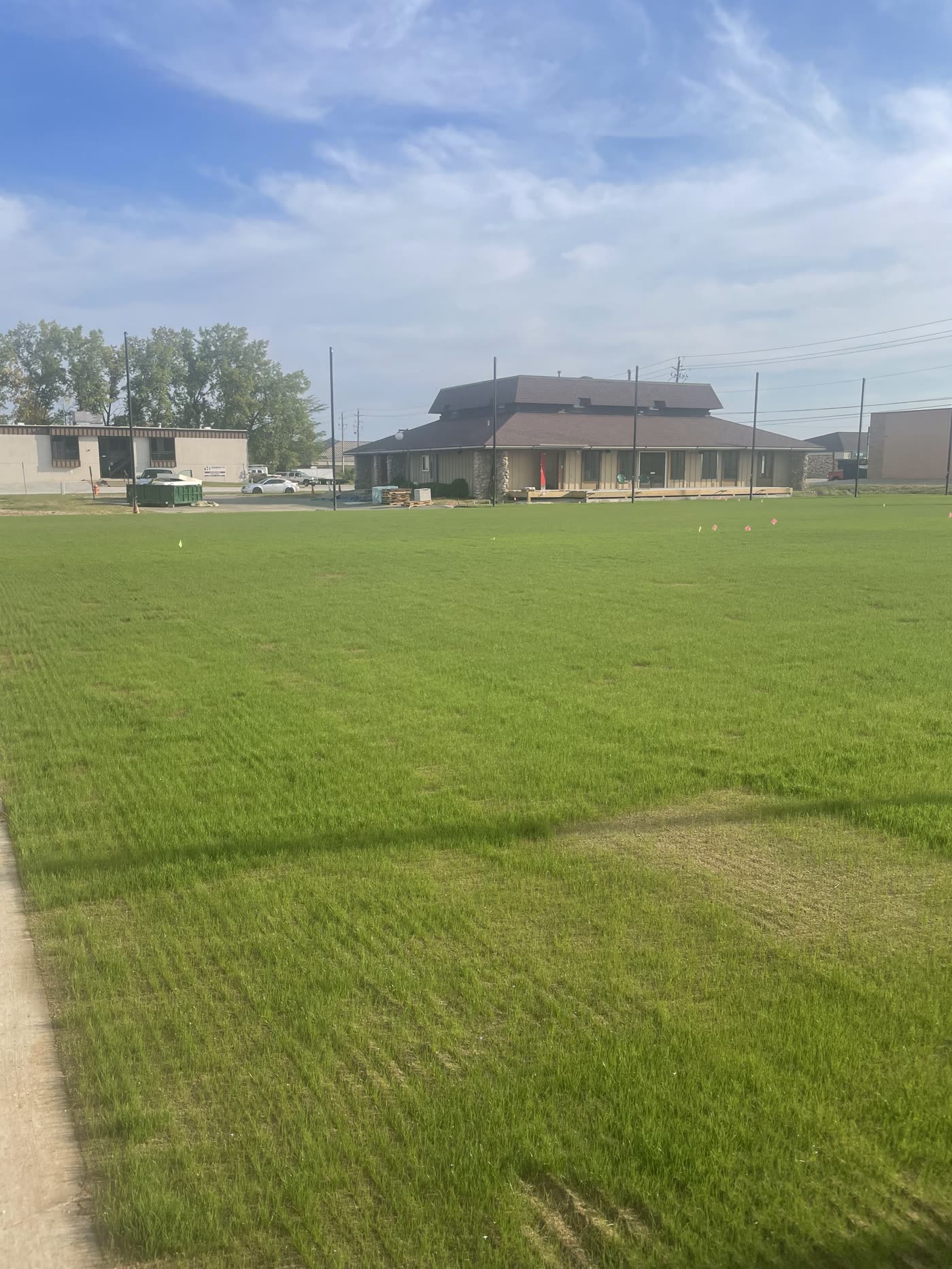 Dense early turf cover